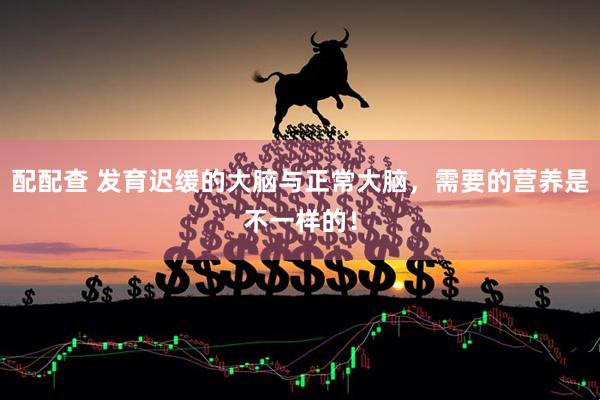 配配查 发育迟缓的大脑与正常大脑，需要的营养是不一样的！