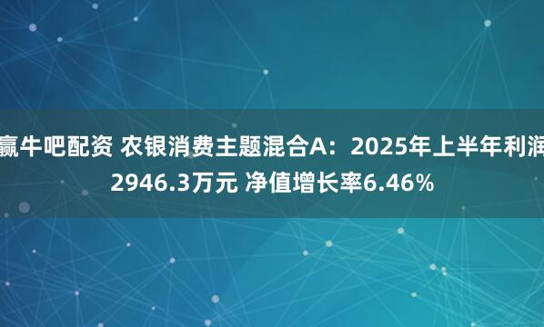 赢牛吧配资 农银消费主题混合A：2025年上半年利润2946.3万元 净值增长率6.46%