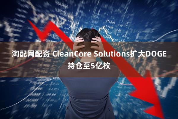 淘配网配资 CleanCore Solutions扩大DOGE持仓至5亿枚