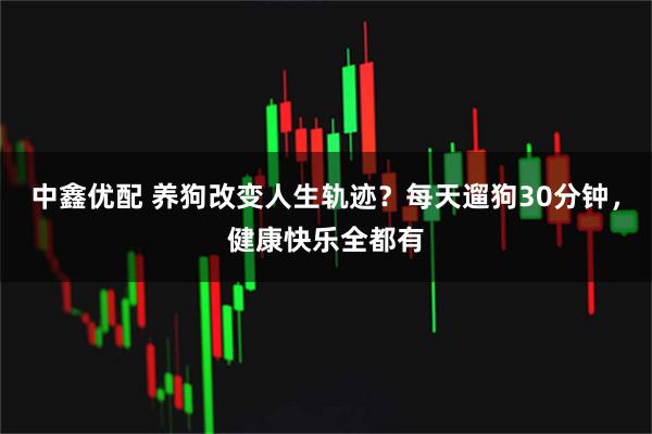 中鑫优配 养狗改变人生轨迹？每天遛狗30分钟，健康快乐全都有