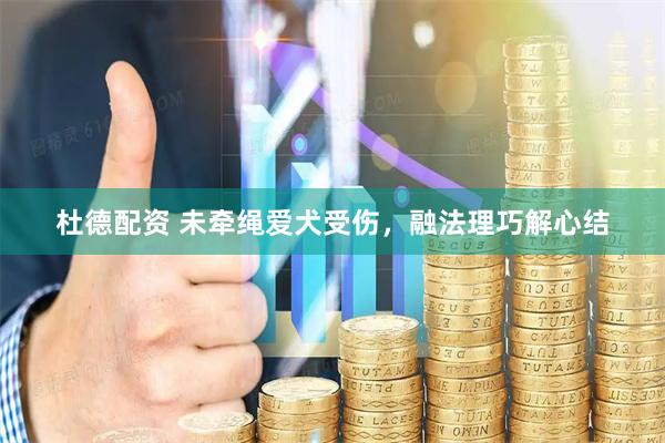 杜德配资 未牵绳爱犬受伤，融法理巧解心结