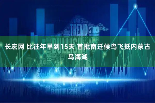 长宏网 比往年早到15天 首批南迁候鸟飞抵内蒙古乌海湖