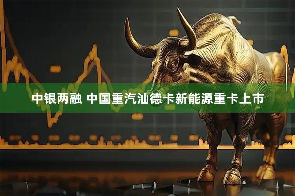 中银两融 中国重汽汕德卡新能源重卡上市